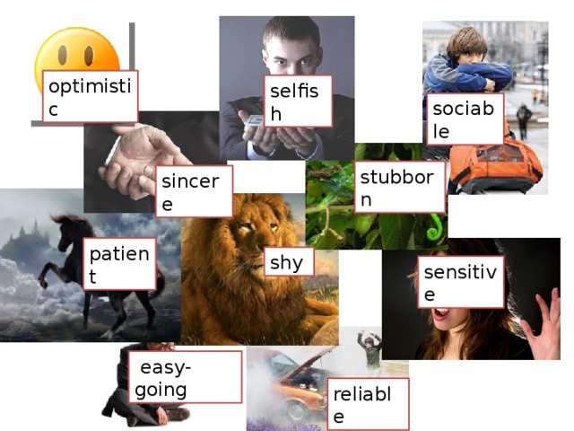 optimistic selfish sociable stubborn sincere patient shy sensitive  easy-going reliable 