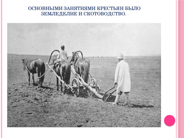 Основными занятиями крестьян было земледелие и скотоводство. 