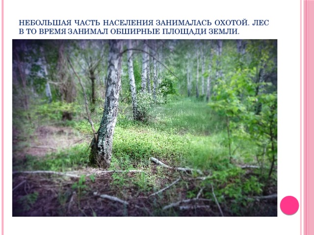 Небольшая часть населения занималась охотой. Лес в то время занимал обширные площади земли. 