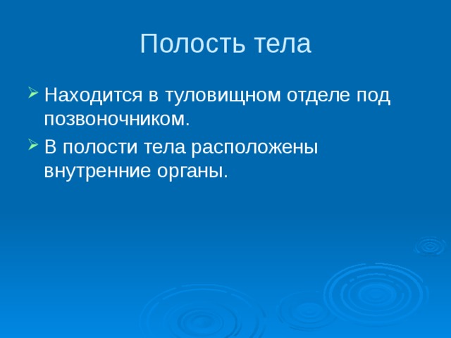 Полость тела Находится в туловищном отделе под позвоночником. В полости тела расположены внутренние органы. 
