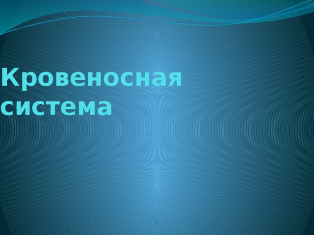 Кровеносная система 