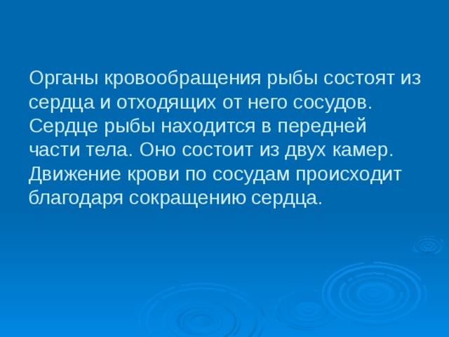 Органы кровообращения рыбы состоят из сердца и отходящих от него сосудов. Сердце рыбы находится в передней части тела. Оно состоит из двух камер. Движение крови по сосудам происходит благодаря сокращению сердца. 