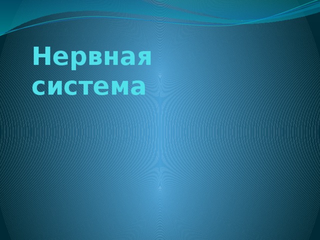 Нервная система 