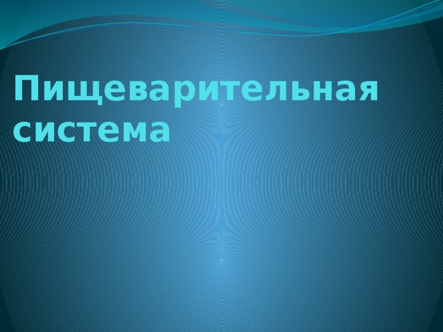 Пищеварительная система 