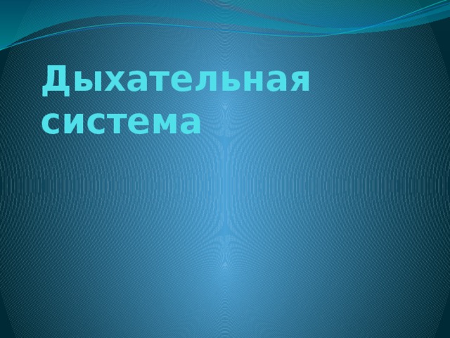 Дыхательная система 