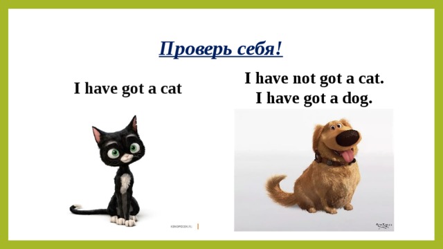 Got a cat перевод на русский. I have got кошка. She has got a Cat. I have a Cat. Cat has got.