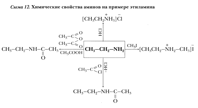 Напишите реакции характеризующие химические свойства. Химические схемы. Амины химические свойства. Химические свойства первичных Аминов. Этиламин химические свойства реакции.