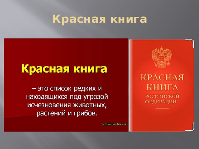 Интерактивная игра по краеведению "Пермский край"