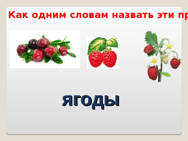 Как одним словам назвать эти предметы? ягоды 