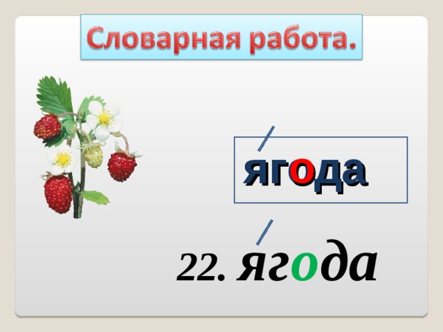 о ягода 22. яг о да 