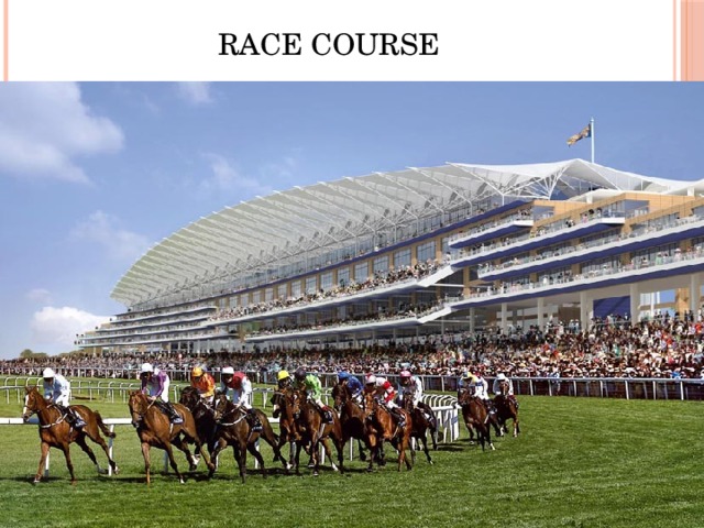 Race Course 