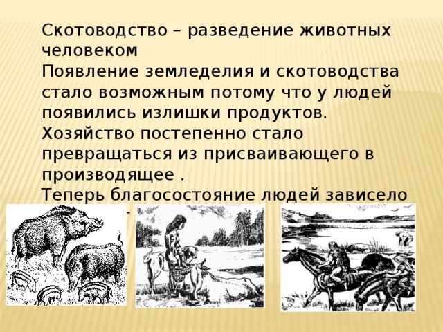 История земледелия