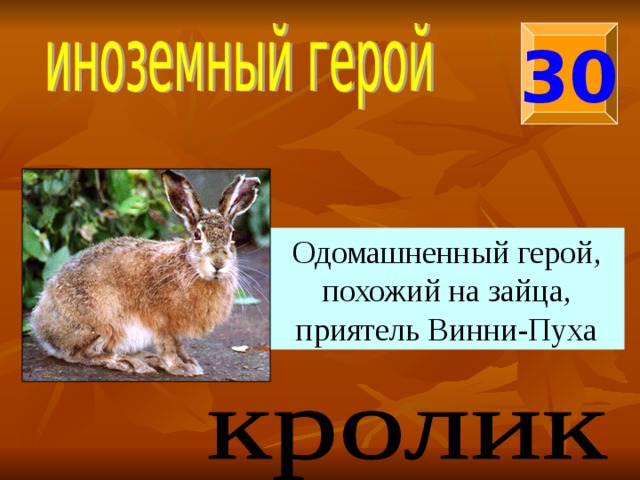 30 Одомашненный герой, похожий на зайца, приятель Винни-Пуха 