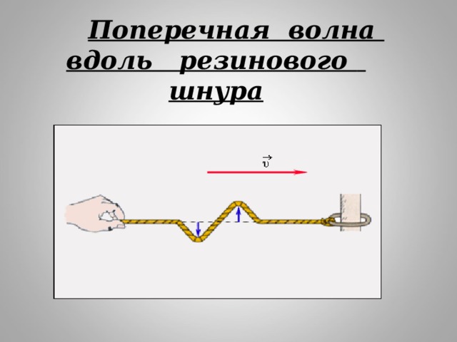 Рисунок поперечной волны