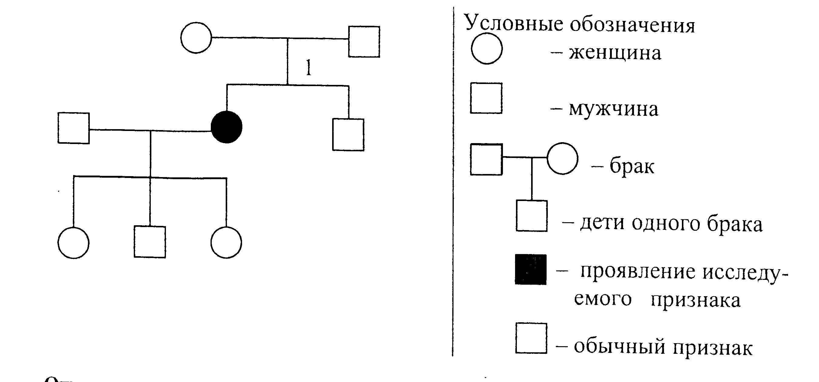 По изображенной на рисунке родословной. Родословная по доминантным и рецессивным признакам. По изображенной на рисунке родословной определите вероятность. Вычисление вероятности в родословной. Родители и дети в родословной.