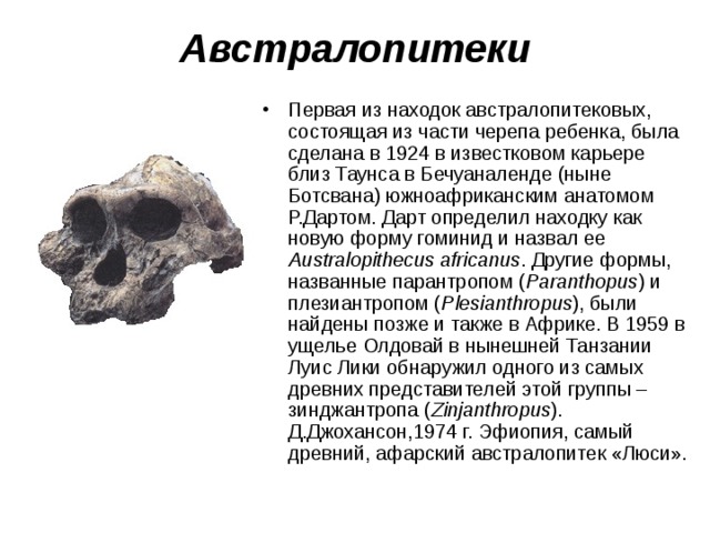 А встралопитеки Первая из находок австралопитековых, состоящая из части черепа ребенка, была сделана в 1924 в известковом карьере близ Таунса в Бечуаналенде (ныне Ботсвана) южноафриканским анатомом Р.Дартом. Дарт определил находку как новую форму гоминид и назвал ее Australopithecus africanus . Другие формы, названные парантропом ( Paranthopus ) и плезиантропом ( Plesianthropus ), были найдены позже и также в Африке. В 1959 в ущелье Олдовай в нынешней Танзании Луис Лики обнаружил одного из самых древних представителей этой группы – зинджантропа ( Zinjanthropus ). Д.Джохансон,1974 г. Эфиопия, самый древний, афарский австралопитек «Люси». 