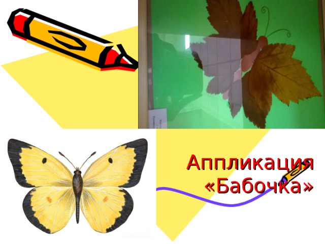 Аппликация «Бабочка» 