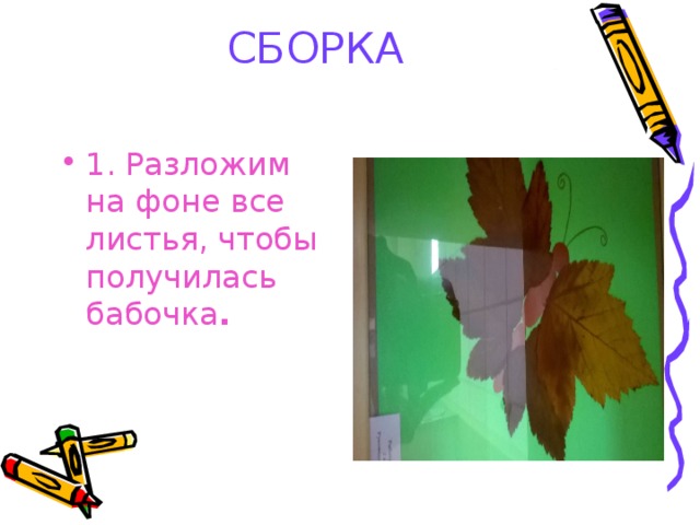 СБОРКА 1. Разложим на фоне все листья, чтобы получилась бабочка .  