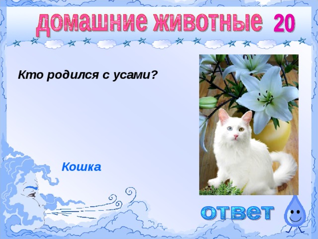 Кто родится с усами. Кто родился с усами загадка. Кто рождается с усами загадка ответ. Кто родится с усами ответ на загадку. Загадка с усами.