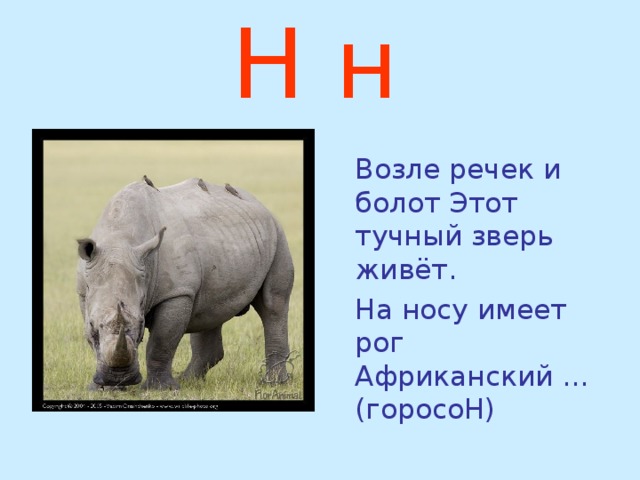 Большое животное на н