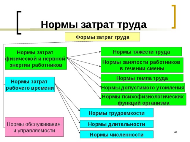 Нормы затрат труда Формы затрат труда Нормы тяжести труда Нормы затрат физической и нервной энергии работников Нормы занятости работников в течении смены Нормы темпа труда Нормы затрат рабочего времени Нормы допустимого утомления Нормы психофизиологических функций организма Нормы трудоемкости Нормы обслуживания и управляемости Нормы длительности  Нормы численности 