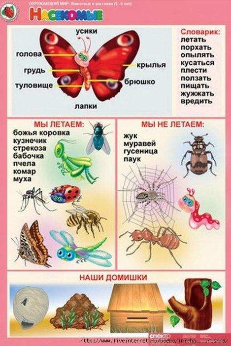 Закон глазами ребенка картинки