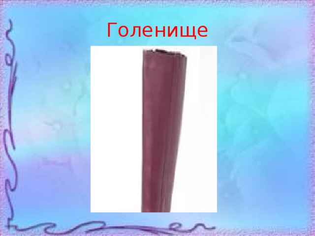 Голенище 