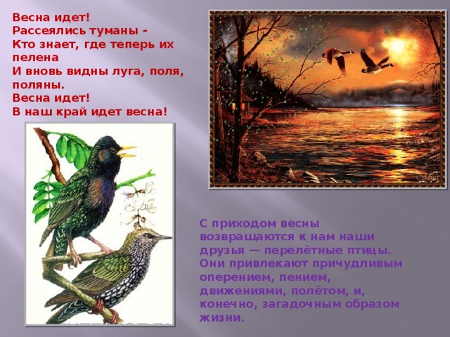 Весна идет! Рассеялись туманы - Кто знает, где теперь их пелена И вновь видны луга, поля, поляны. Весна идет! В наш край идет весна! С приходом весны возвращаются к нам наши друзья — перелётные птицы. Они привлекают причудливым оперением, пением, движениями, полётом, и, конечно, загадочным образом жизни. 