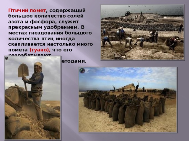 Птичий помет , содержащий большое количество солей азота и фосфора, служит прекрасным удобрением. В местах гнездования большого количества птиц иногда скапливается настолько много помета (гуано), что его разрабатывают промышленными методами. 