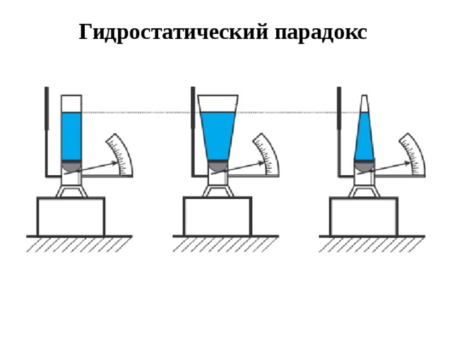 Презентация на тему гидростатический парадокс