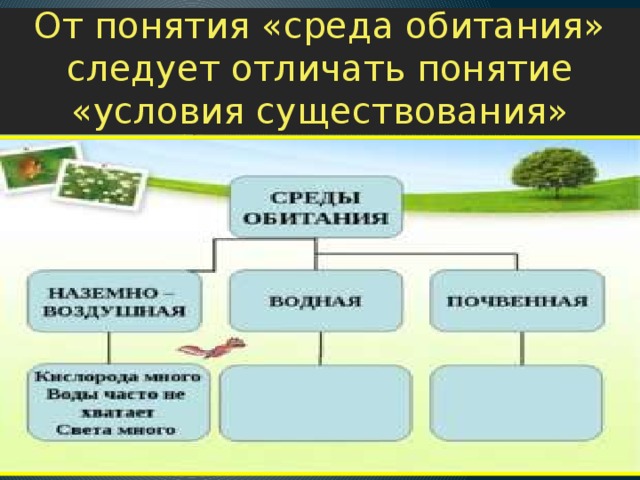 Какие условия необходимы для жизни на земле