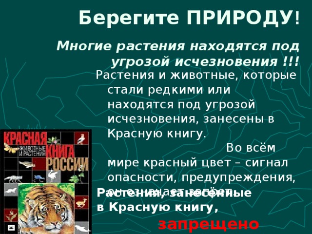 Берегите ПРИРОДУ ! Многие растения находятся под угрозой исчезновения !!! Растения и животные, которые стали редкими или находятся под угрозой исчезновения, занесены в Красную книгу. Во всём мире красный цвет – сигнал опасности, предупреждения, он означает запрет. Растения, занесённые    в Красную книгу,     запрещено истреблять! 
