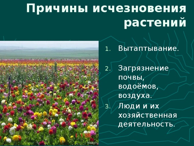 Вымирание растений презентация