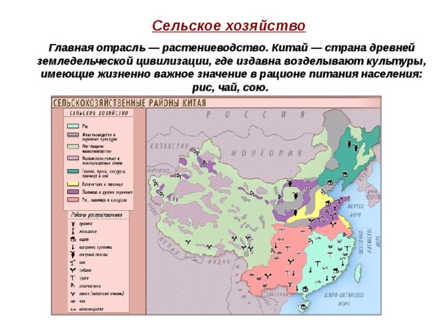 Сельское хозяйство  Главная отрасль — растениеводство. Китай — страна древней земледельческой цивилизации, где издавна возделывают культуры, имеющие жизненно важное значение в рационе питания населения: рис, чай, сою. 