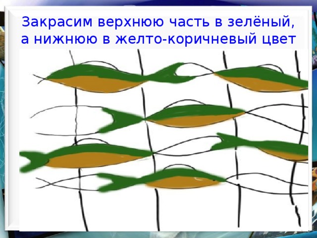 Закрасим верхнюю часть в зелёный, а нижнюю в желто-коричневый цвет  