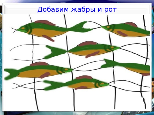  Добавим жабры и рот    