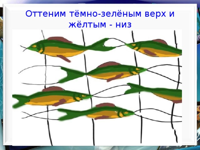    Оттеним тёмно-зелёным верх и жёлтым - низ       