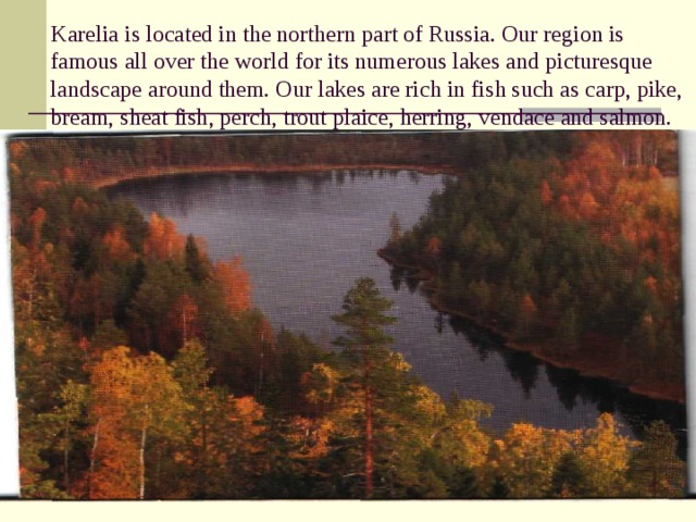 Karelia is located in the northern part of Russia. Our region is famous all over the world for its numerous lakes and picturesque landscape around them. Our lakes are rich in fish such as carp, pike, bream, sheat fish, perch, trout plaice, herring, vendace and salmon.   