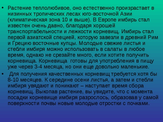 Растение теплолюбивое, оно естественно произрастает в низинных тропических лесах юго-восточной Азии (климатическая зона 10 и выше). В Европе имбирь стал известен очень давно, благодаря хорошей транспортабельности и лежкости корневищ. Имбирь стал первой азиатской специей, которую завезли в древний Рим и Грецию восточные купцы. Молодые свежие листья и стебли имбиря можно использовать в салаты в любое время, однако не срезайте много, если хотите получить корневища. Корневища готовы для употребления в пищу уже через 3-4 месяца, но они еще довольно маленькие.  Для получения качественных корневищ требуется хотя бы 8-10 месяцев. К середине осени листья, а затем и стебли имбиря увядают и поникают – наступает время сбора корневищ. Выкопав растение, вы увидите, что с момента посадки корневище имбиря разрослось, образовав у самой поверхности почвы новые молодые отростки с почками. 