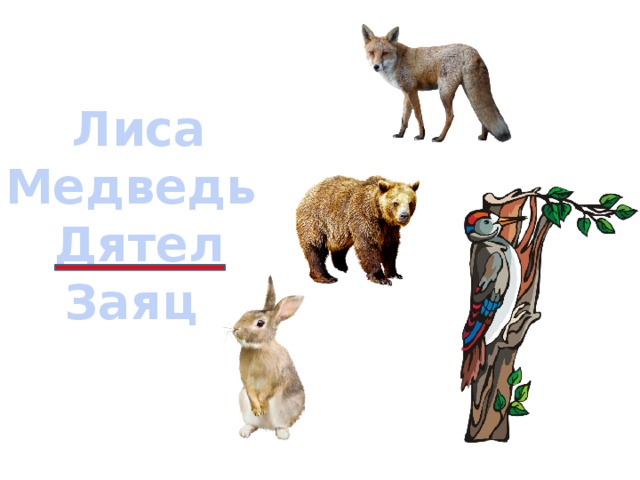 Картинка волк лиса медведь. Медведь лиса заяц. Медведь и лиса. Медведь и зайцы. Лиса, волк и медведь.