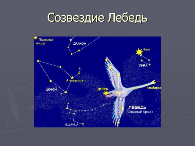 Созвездия первый класс. Созвездие лебедь атлас определитель. Астеризм созвездия лебедь. Альбирео в созвездии лебедя. Лебедь Созвездие самая яркая звезда.