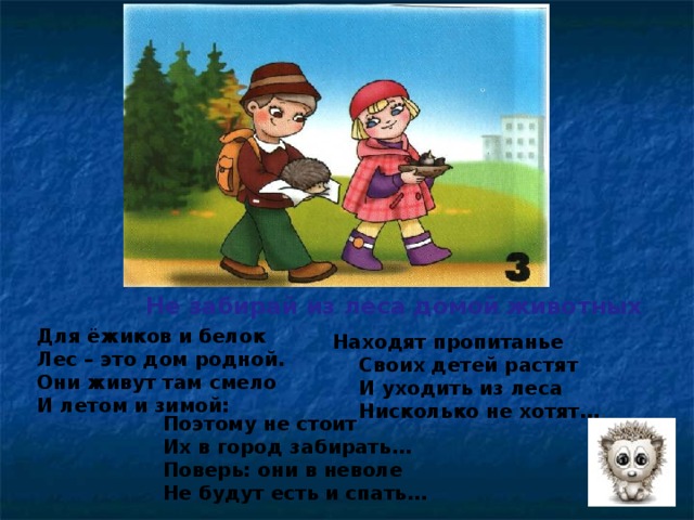  Не забирай из леса домой животных Для ёжиков и белок Лес – это дом родной. Они живут там смело И летом и зимой:  Находят пропитанье  Своих детей растят  И уходить из леса  Нисколько не хотят… Поэтому не стоит Их в город забирать… Поверь: они в неволе Не будут есть и спать… 