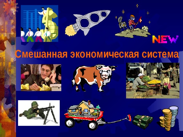 Смешанная экономическая система 