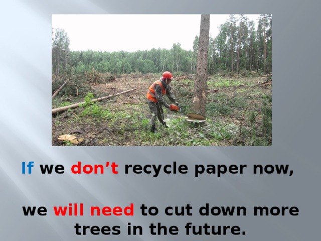 If we don’t recycle paper now, we will need to cut down more trees in the future. 
