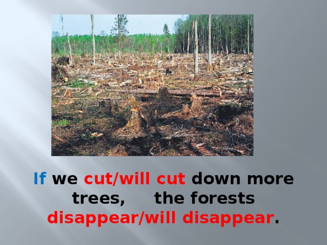 If we cut/will cut down more trees, the forests disappear/will disappear . 