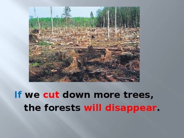 If we cut down more trees, the forests will disappear . 