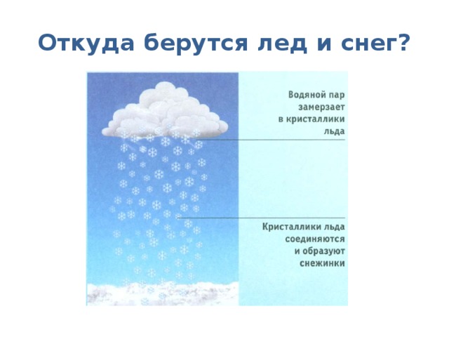 Как образуется снег доклад. Откуда берутся снег и лед. Откуда берется снег. Откуда берутся снег и лед 1 класс. Откуда берутся снеу илёд.