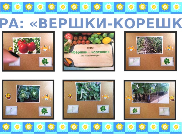 Игра: «вершки-корешки» 
