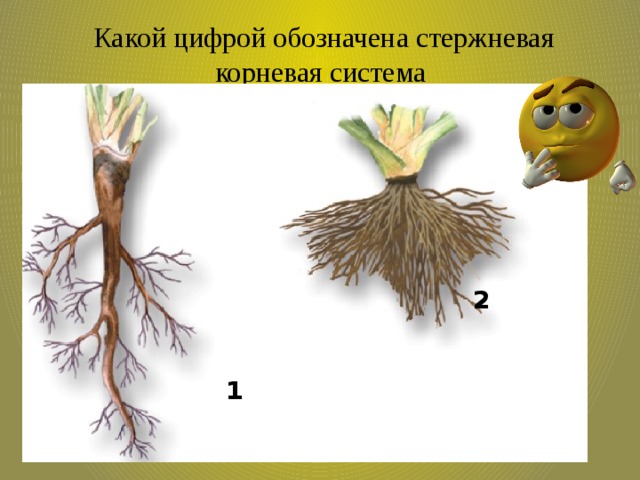 Рисунок стержневой системы