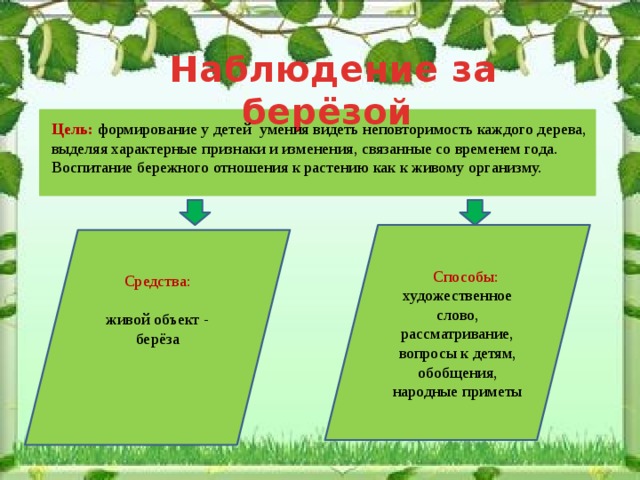 Проект наблюдение за деревом